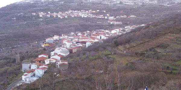 Bosque de castaños en Casas del Castañar durante la Otoñada, Valle del Jerte