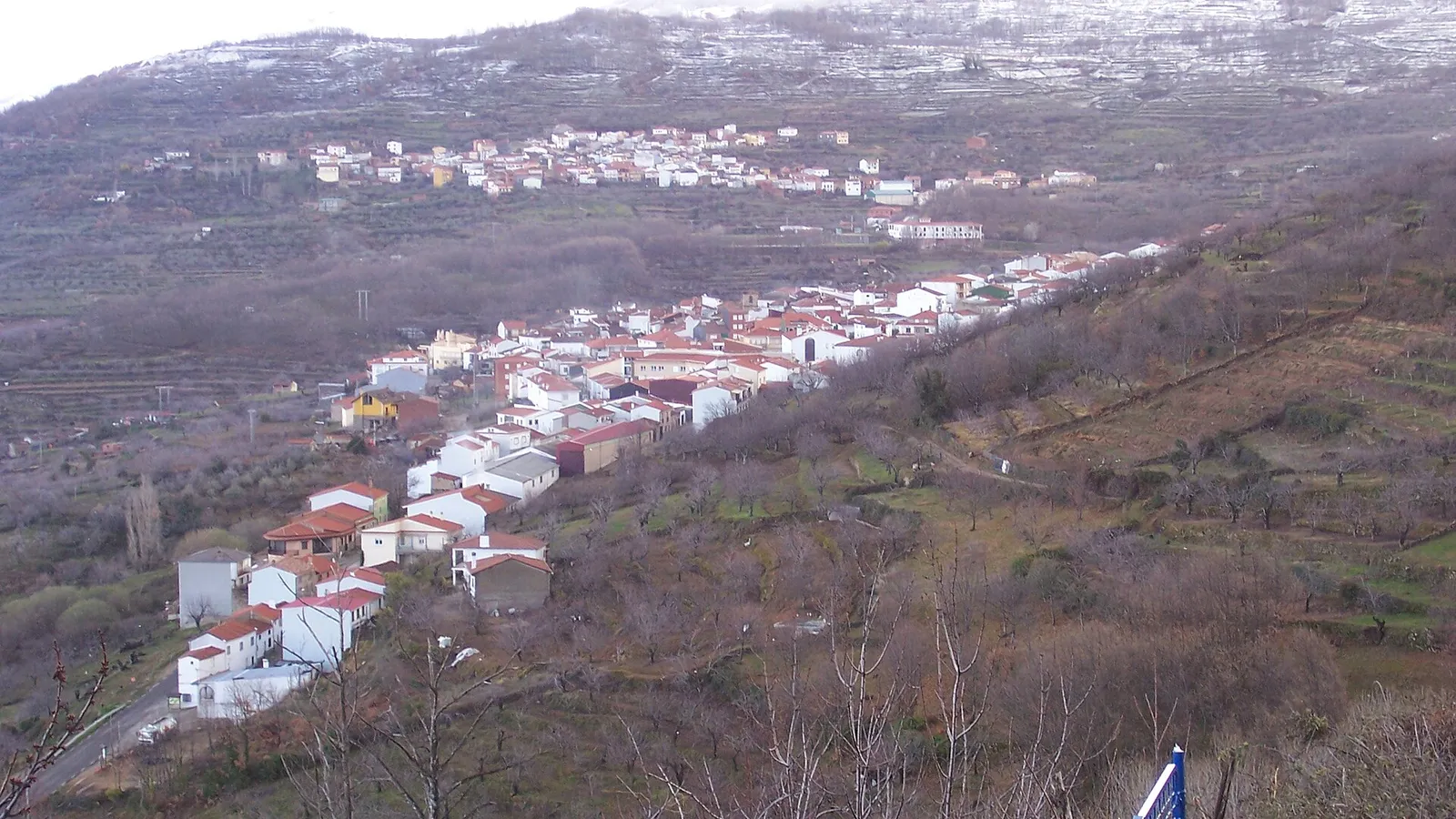 Bosque de castaños en Casas del Castañar durante la Otoñada, Valle del Jerte