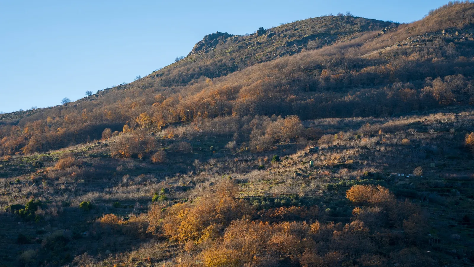 Paisaje del Valle del Jerte cambiando de color entre temporadas