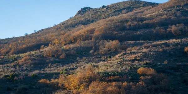 Paisaje del Valle del Jerte cambiando de color entre temporadas