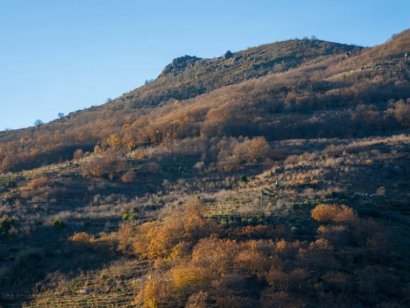 Paisaje del Valle del Jerte cambiando de color entre temporadas