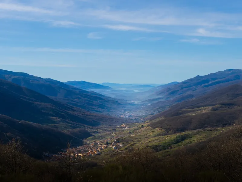 Vista general del Valle del Jerte entre cerezales