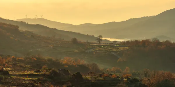 Carretera entre los pueblos del Valle del Jerte para planificar un itinerario