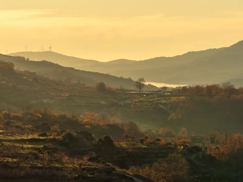 Carretera entre los pueblos del Valle del Jerte para planificar un itinerario
