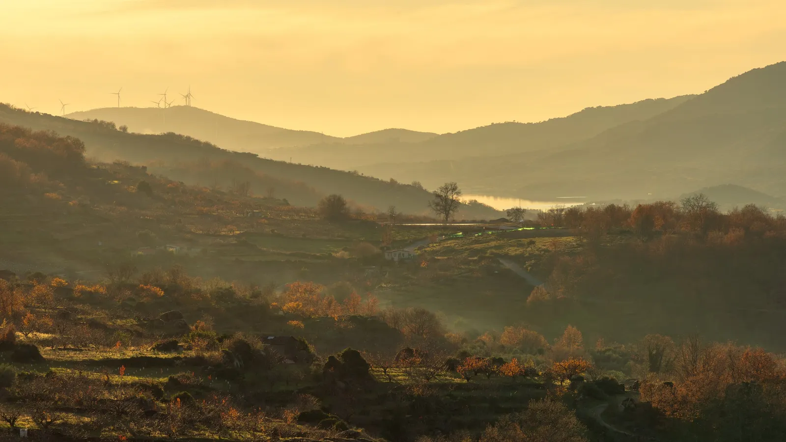 Carretera entre los pueblos del Valle del Jerte para planificar un itinerario