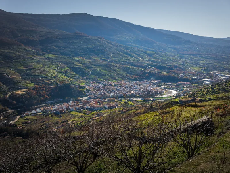 Cerezales en flor en Navaconcejo, el corazón cerecero del Valle del Jerte