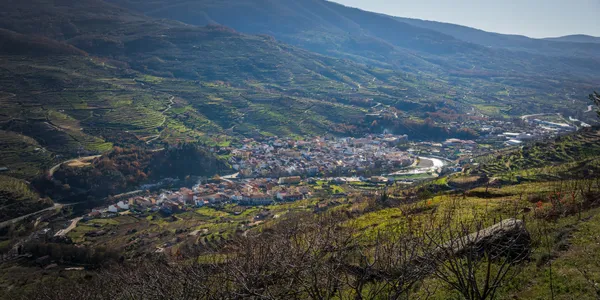 Cerezales en flor en Navaconcejo, el corazón cerecero del Valle del Jerte