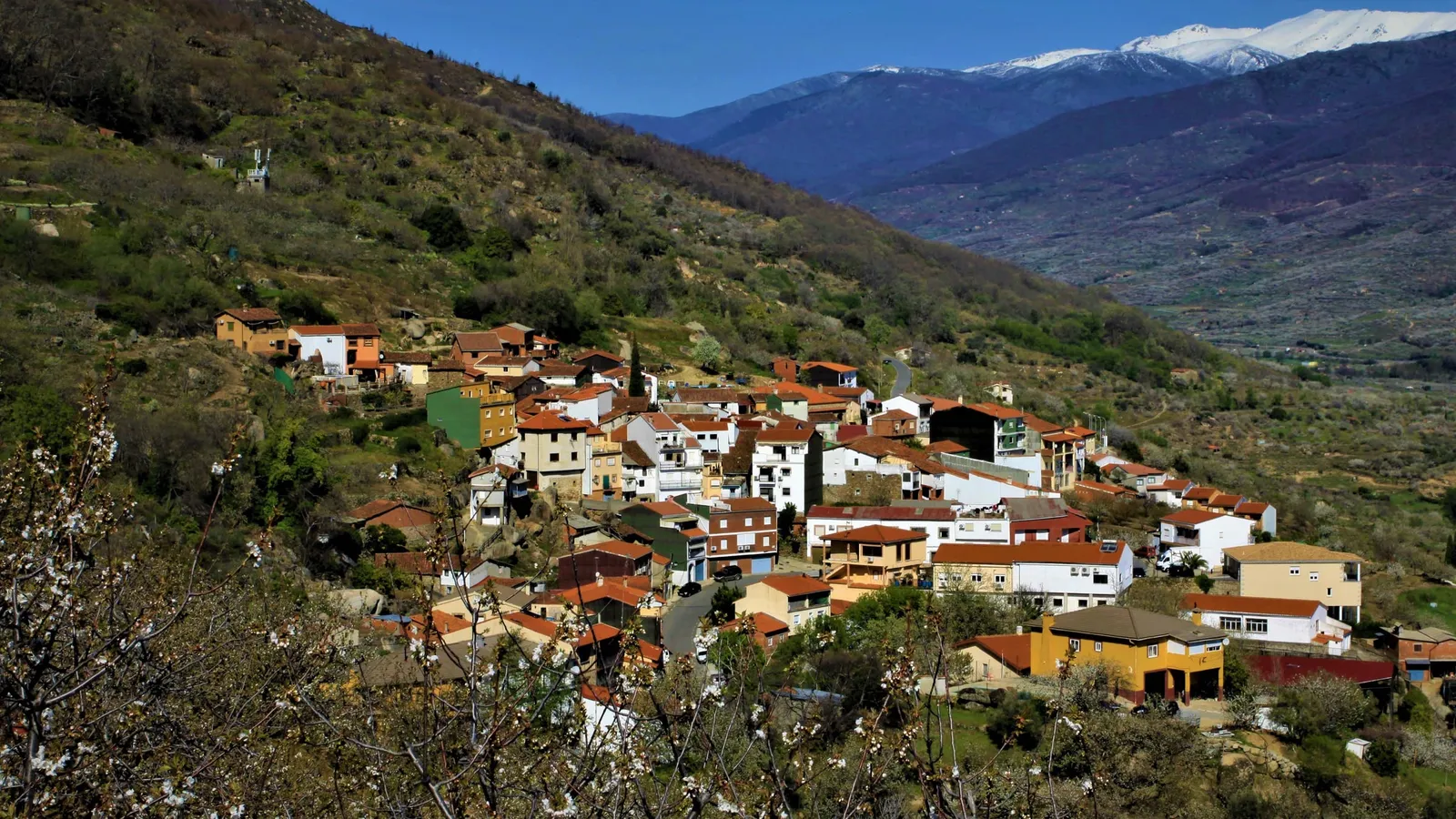 Entorno natural y cerezales junto al pueblo de Rebollar, Valle del Jerte