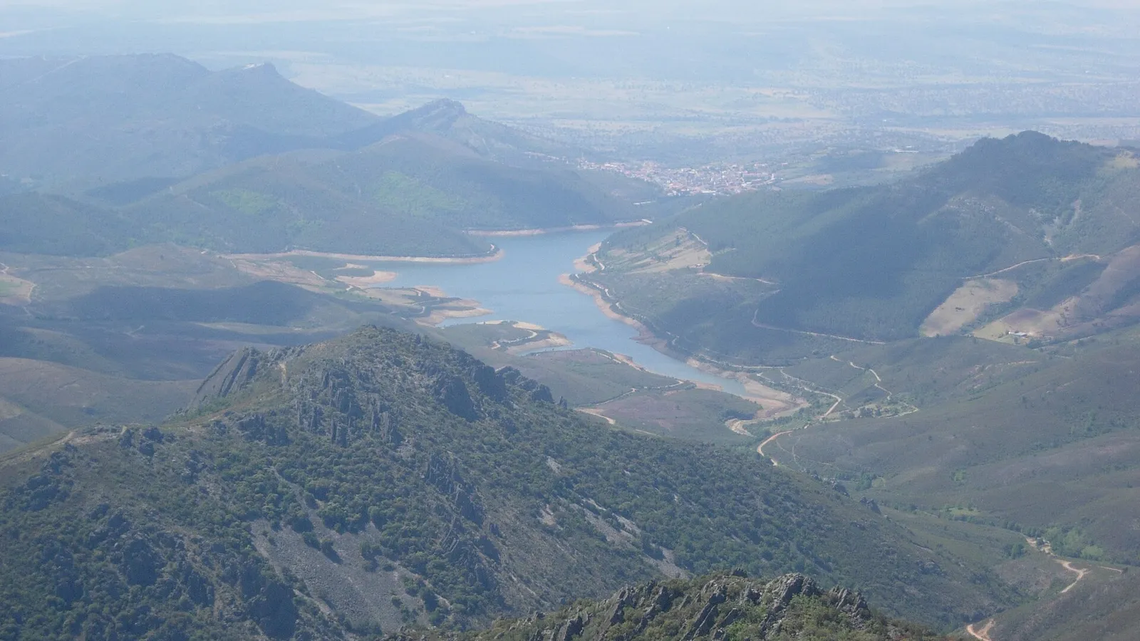 Robledal de la Ruta del Camino Real, entre Navaconcejo y Piornal