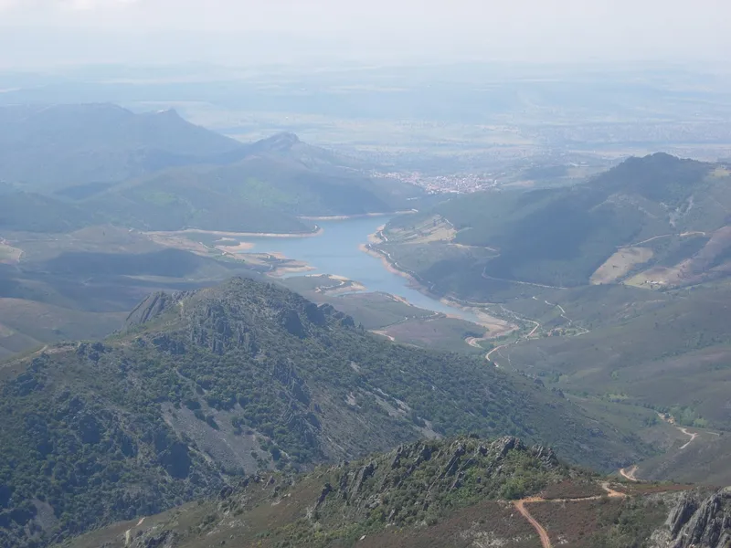 Robledal de la Ruta del Camino Real, entre Navaconcejo y Piornal